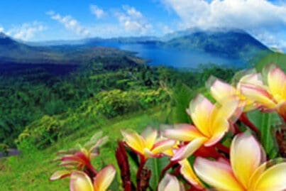 Las personas con astigmatismo no pueden focalizar los objetos de lejos ni los de cerca.