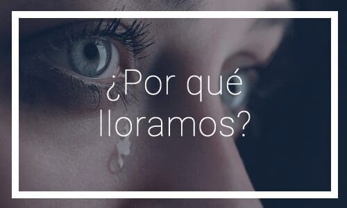 Por qué lloramos - Dr, Dacarett